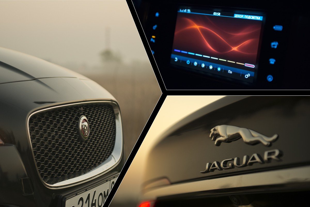 Jaguar сделал свои модели максимально похожими в общем, но не в частностях. Это же семья, как не крути. Если бы новый Jaguar XF получил кардинальные изменения, отличные от старшего или младшего брата, то можно было бы задуматься о том, что кто-то сходил «на сторону».