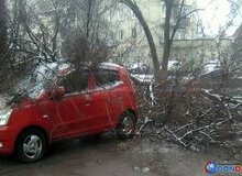 Вчера в Новочеркасске примерно в 6: 30 утра дерево упало на припаркованную иномарку.
